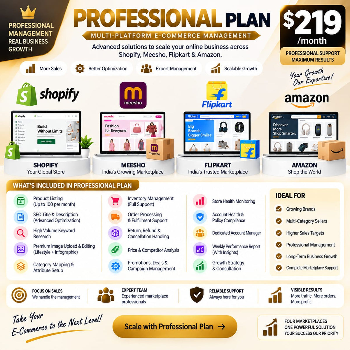 E-COMMERCE MANAGEMENT PROFESSIONAL