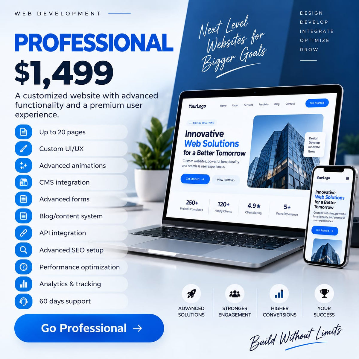 WEB DEVELOPMENT PROFESSIONAL