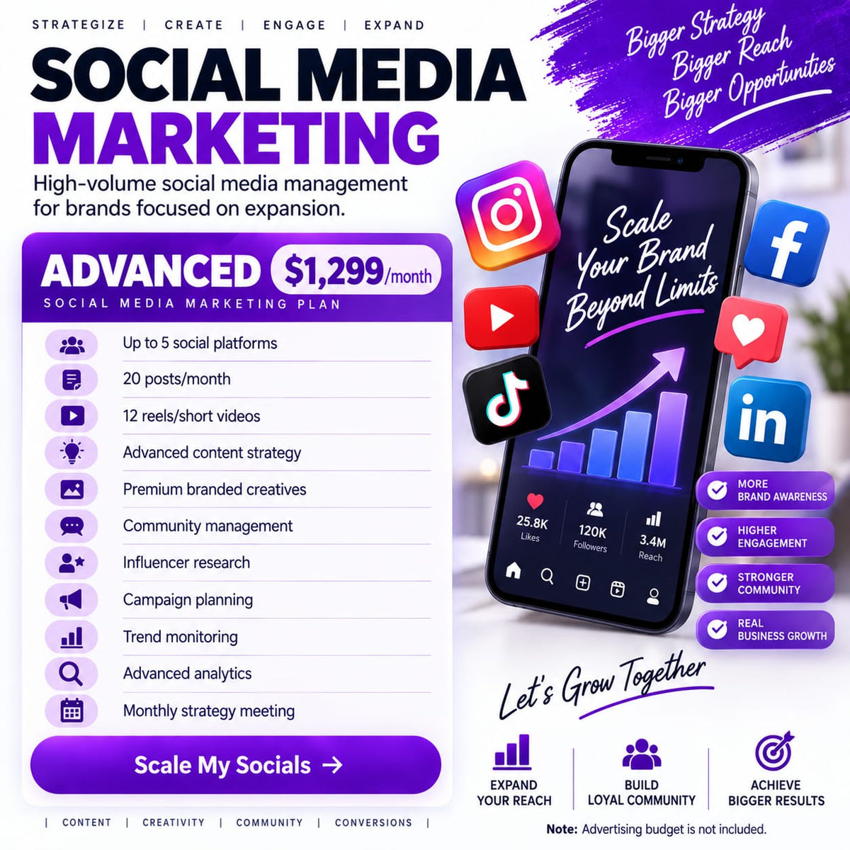 SOCIAL MEDIA MARKETING PROFESSIONAL ADVANCED